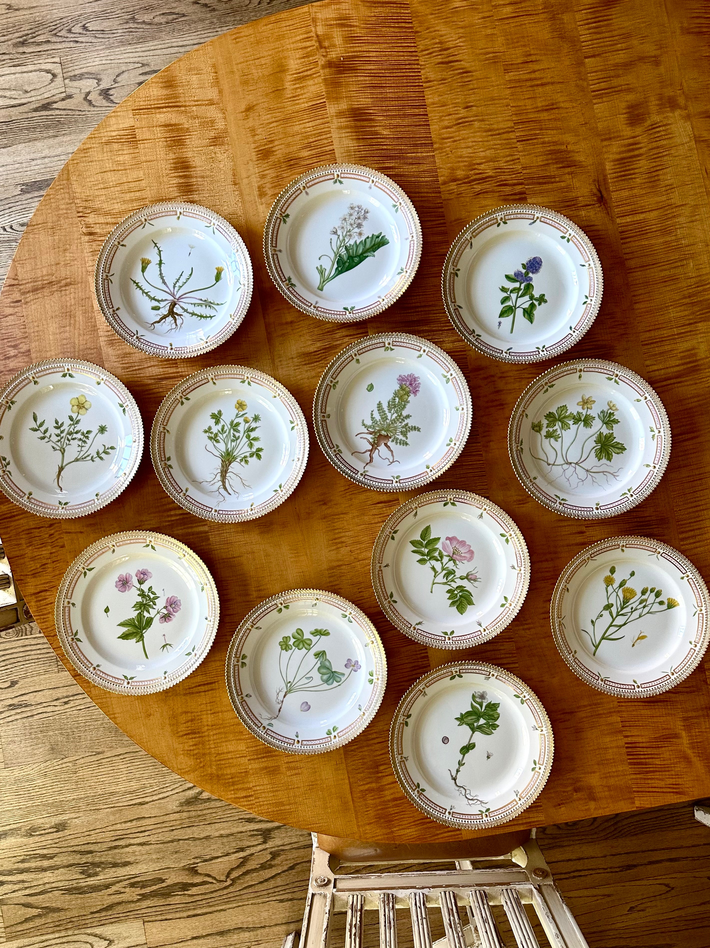 Royal Copenhagen Flora Danica Luncheon Plates (Set of 12)