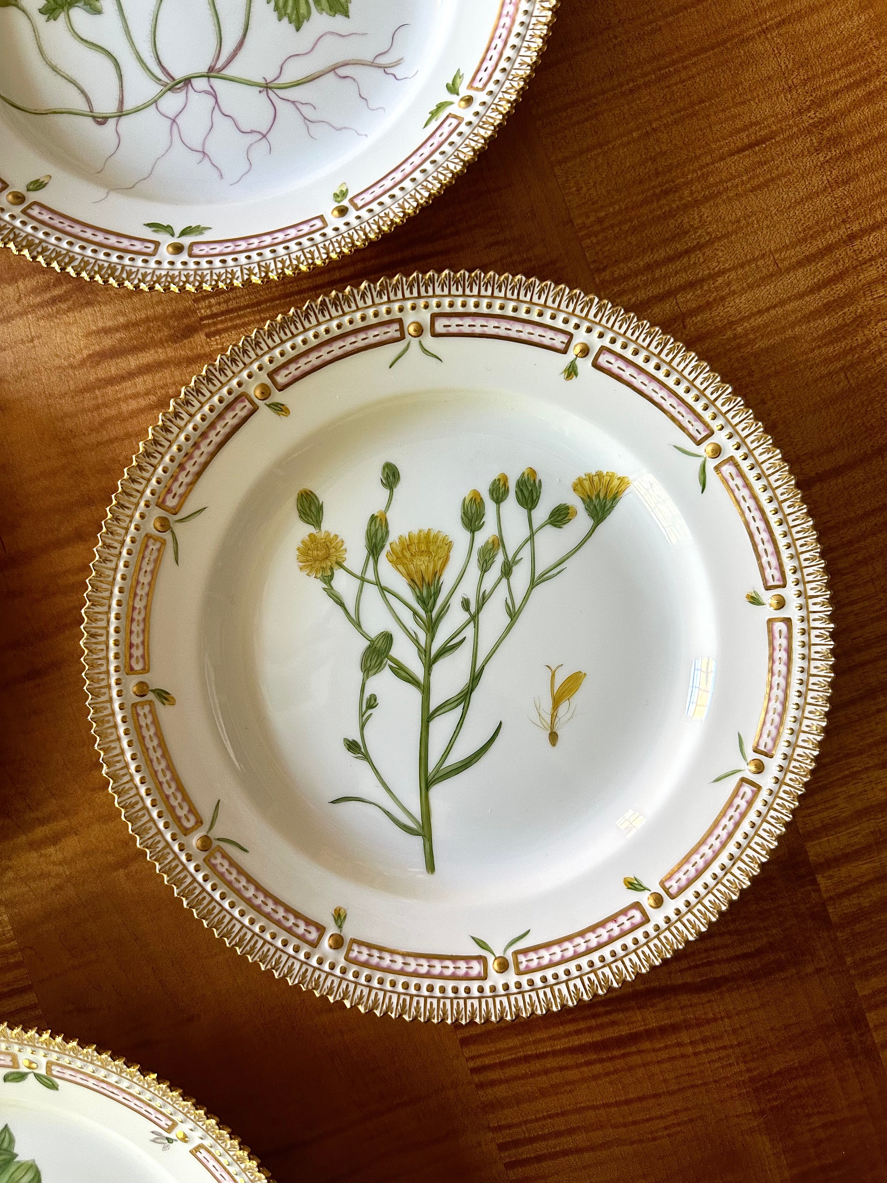 Royal Copenhagen Flora Danica Luncheon Plates (Set of 12)