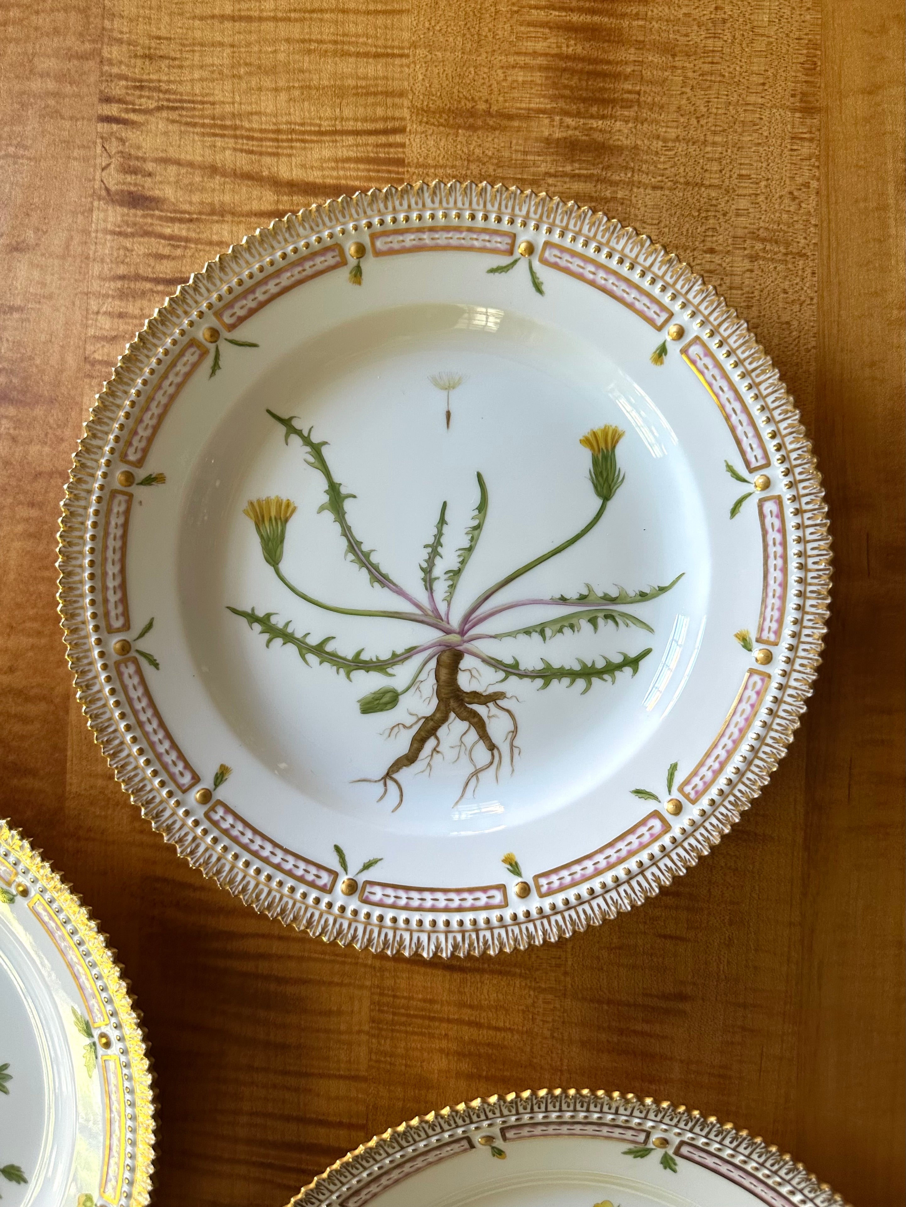 Royal Copenhagen Flora Danica Luncheon Plates (Set of 12)