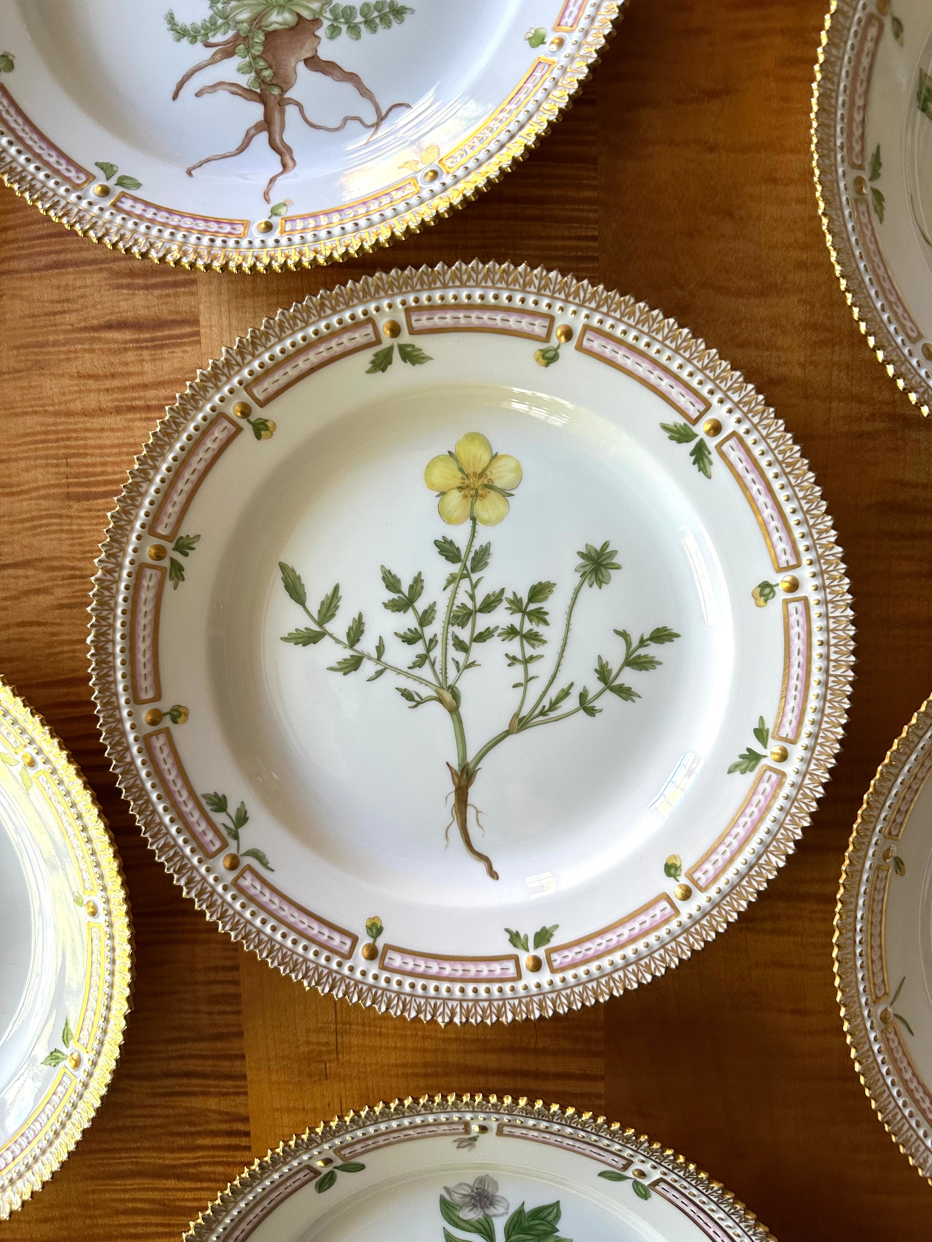 Royal Copenhagen Flora Danica Luncheon Plates (Set of 12)