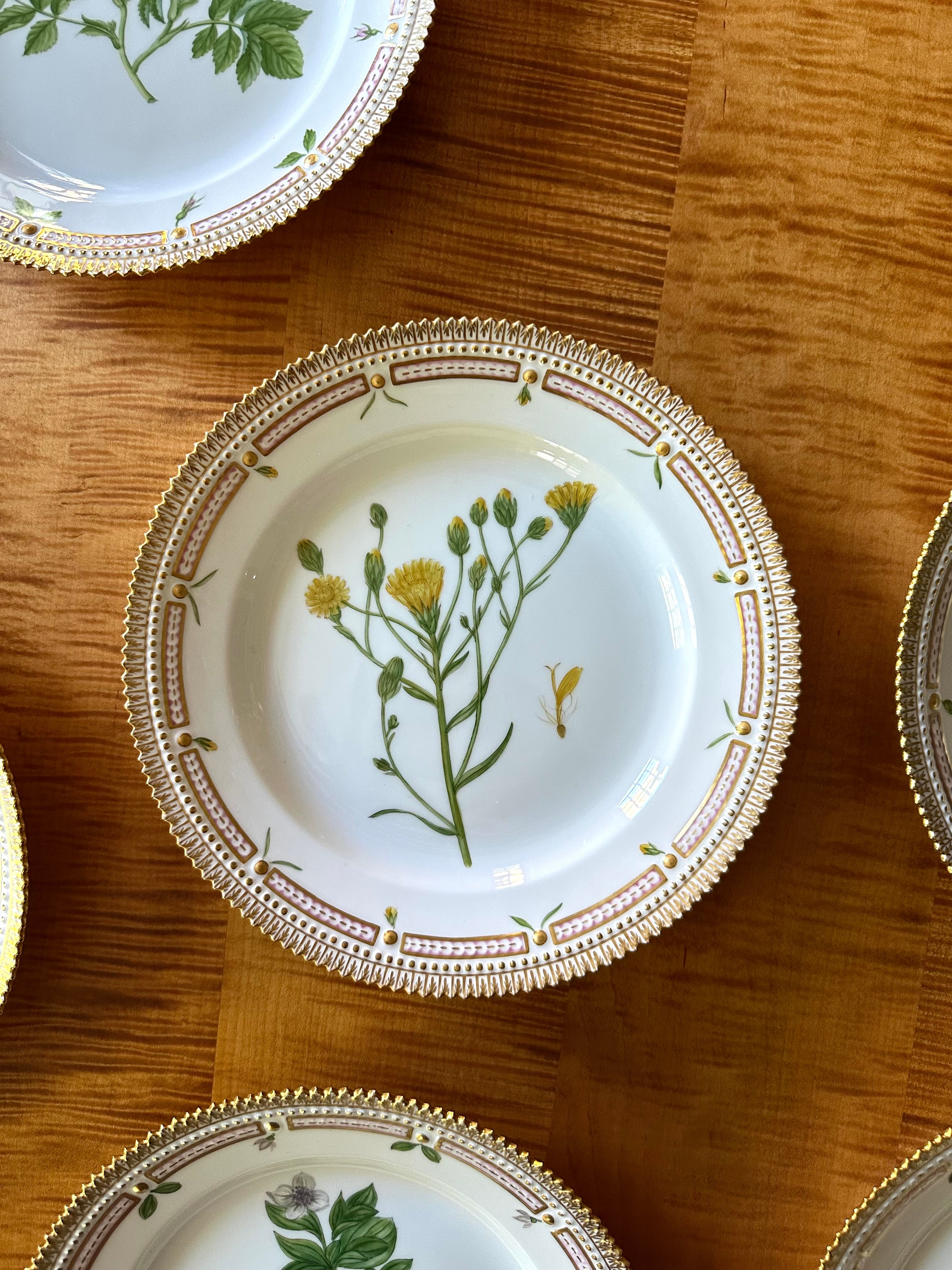 Royal Copenhagen Flora Danica Luncheon Plates (Set of 12)