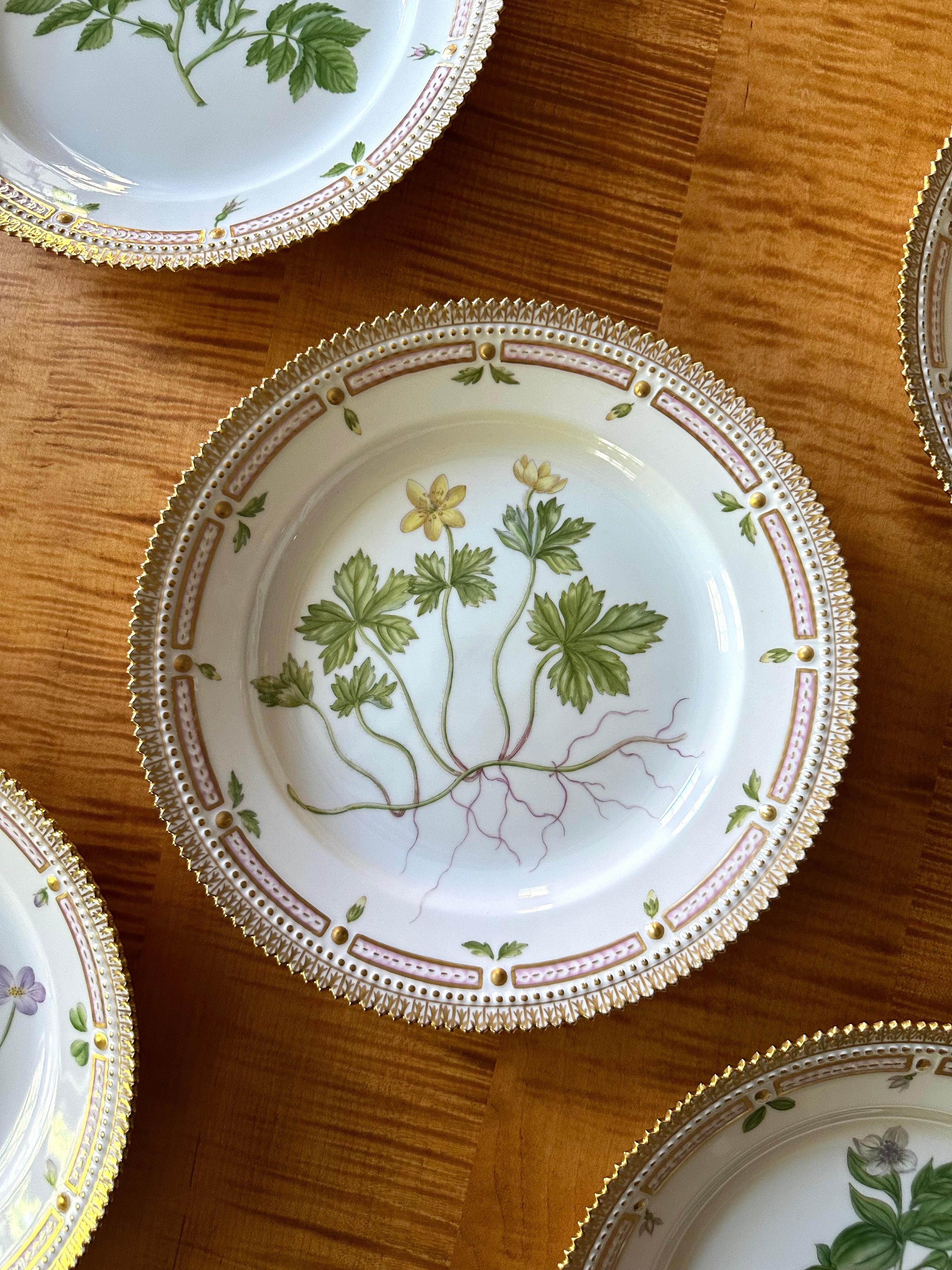 Royal Copenhagen Flora Danica Luncheon Plates (Set of 12)