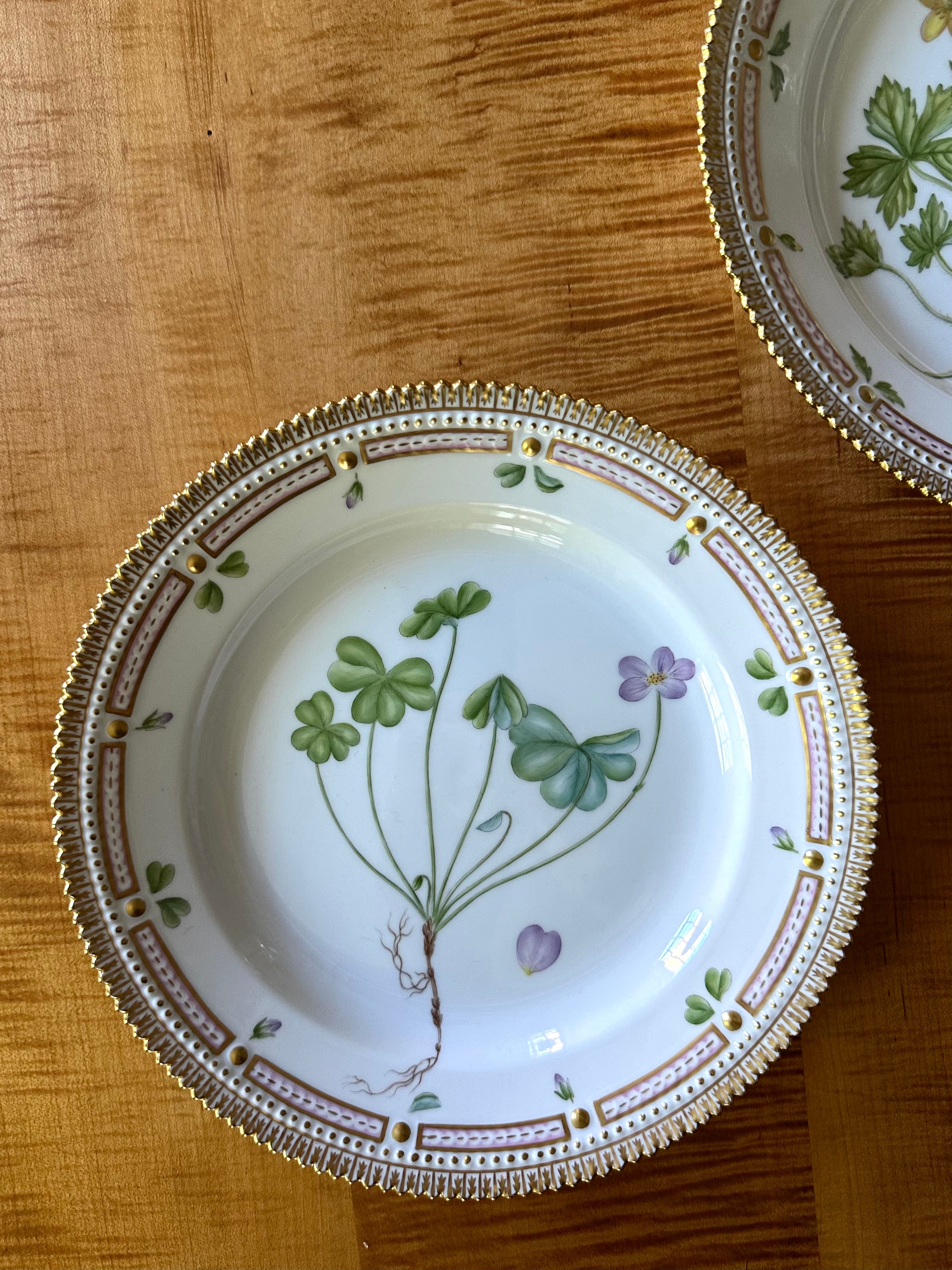 Royal Copenhagen Flora Danica Luncheon Plates (Set of 12)