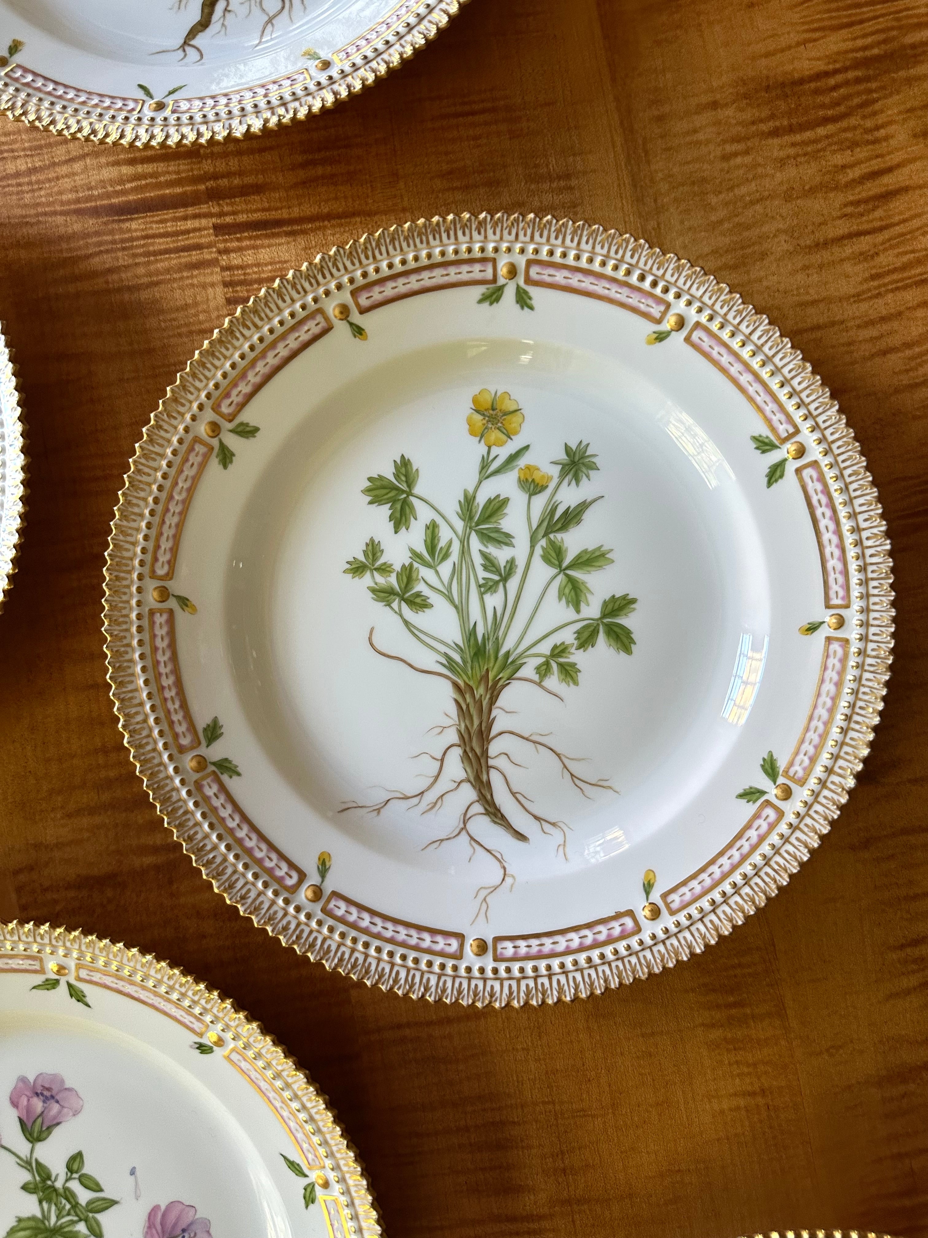 Royal Copenhagen Flora Danica Luncheon Plates (Set of 12)