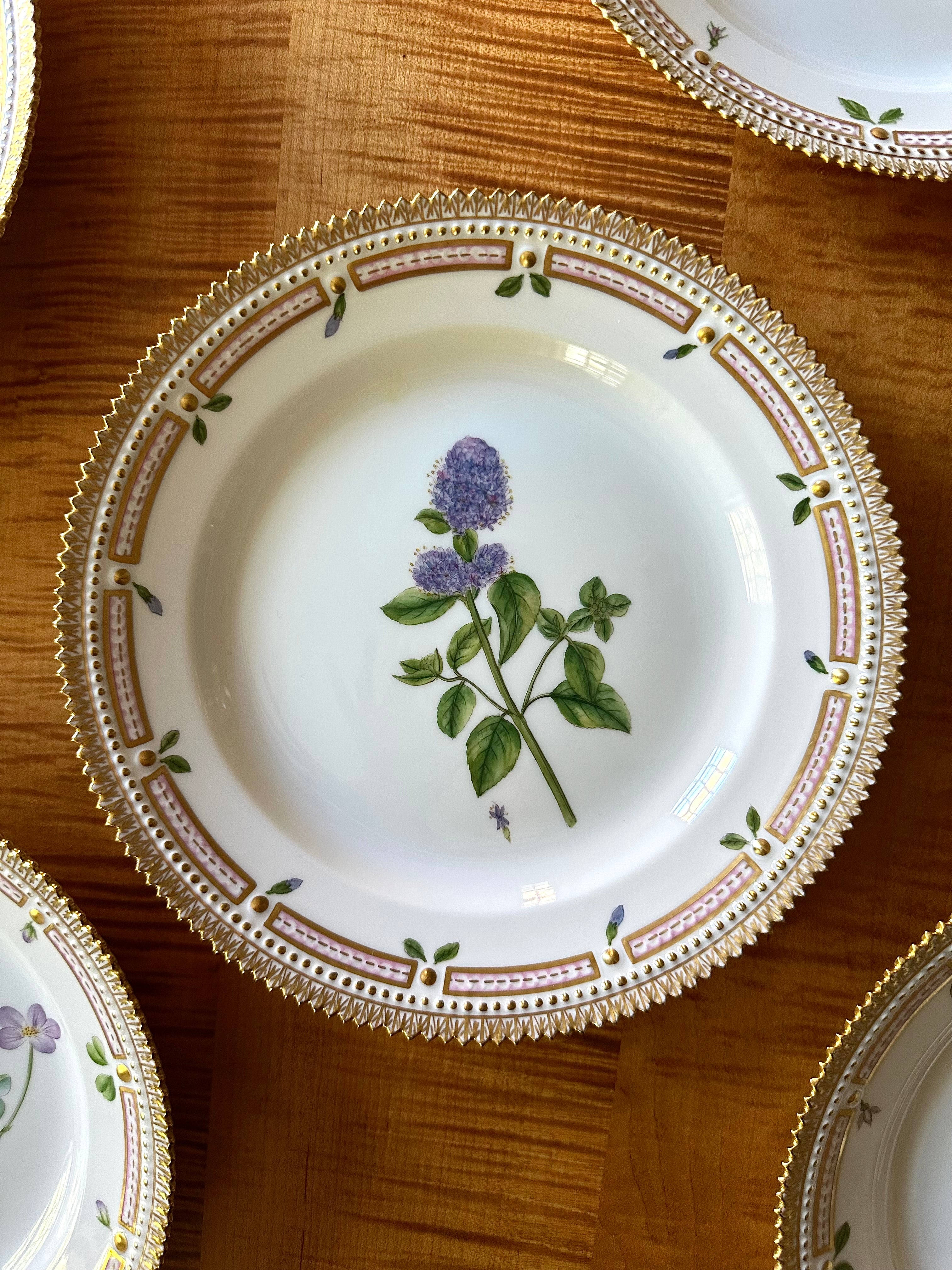 Royal Copenhagen Flora Danica Luncheon Plates (Set of 12)